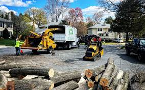 Best Tree Preservation Services  in Tinton Falls, NJ